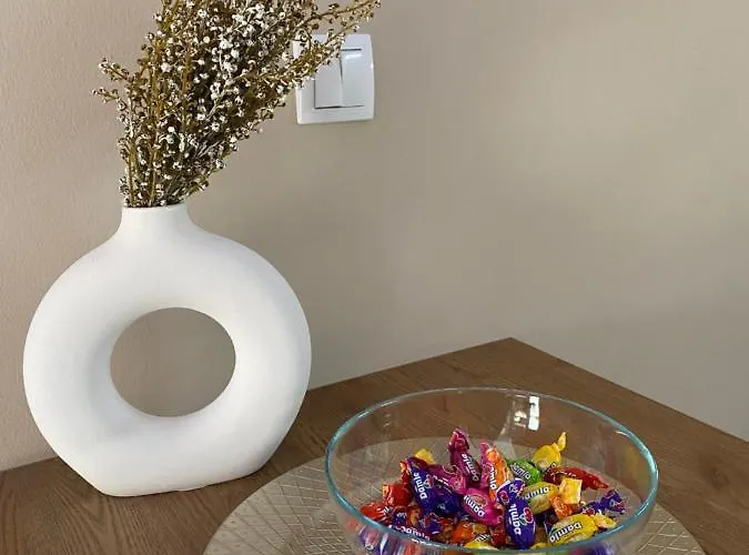 Centar Lux - Free Private Parking, 10-min Walk Downtown * נובי סאד