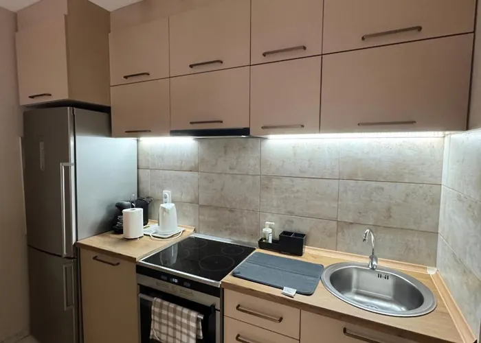 Centar Lux - Free Private Parking, 10-min Walk Downtown דירה נובי סאד