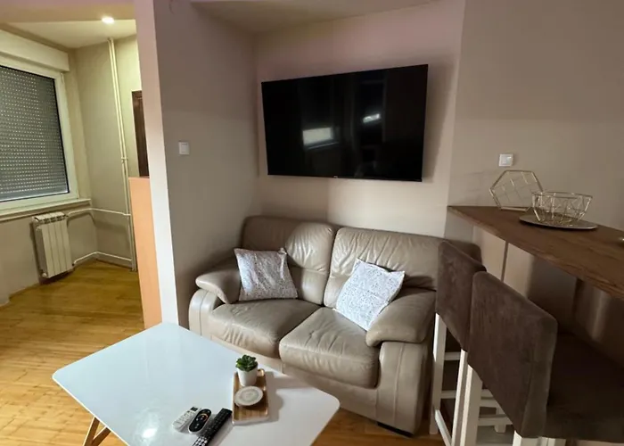 Centar Lux - Free Private Parking, 10-min Walk Downtown * נובי סאד